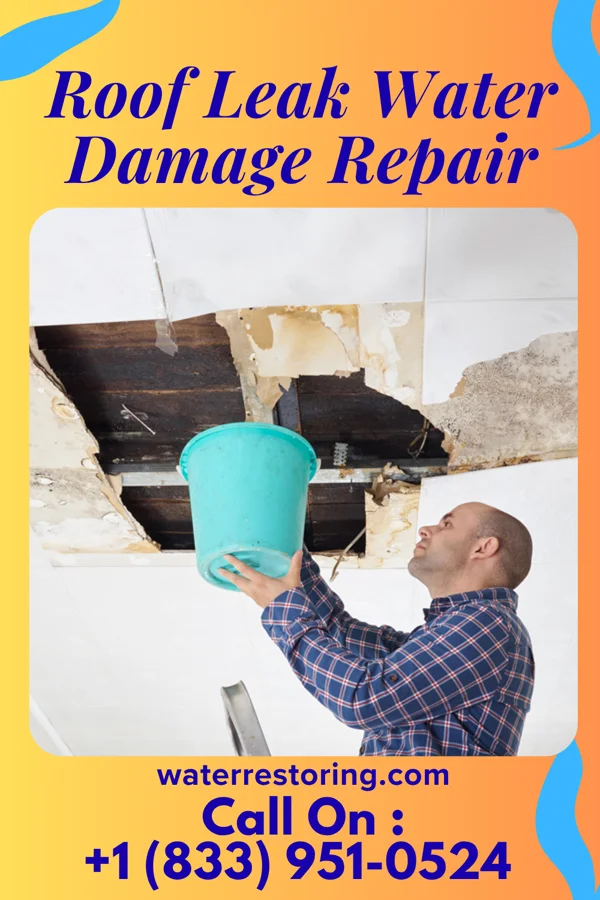 Roof Leak Water Damage Repair in Gray, GA